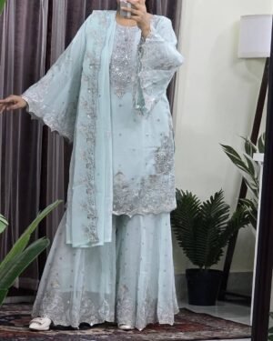 women special Party wear dress back view