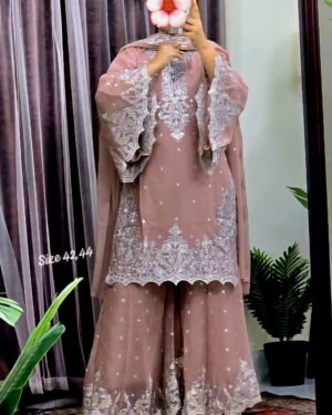 women special Party wear dress front view